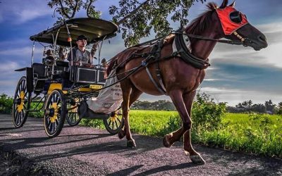 Desa wisata Jogja yang Indah
